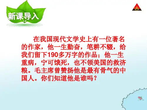 六年级下册语文匆匆完美版ppt课件