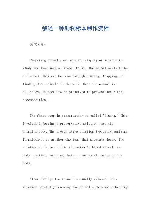 叙述一种动物标本制作流程