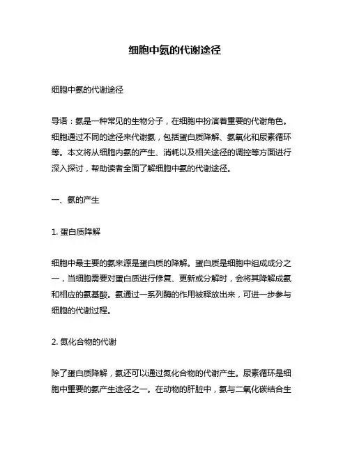 细胞中氨的代谢途径