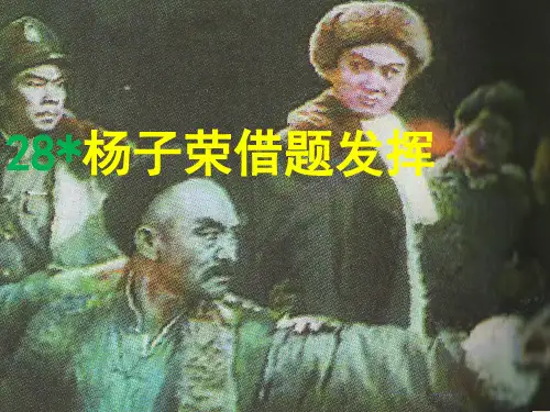 28.杨子荣借题发挥ppt