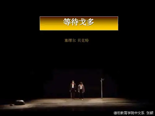 等待戈多 PPT课件 13 人教版