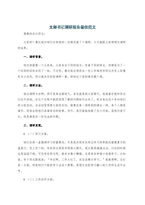 支部书记调研报告最佳范文