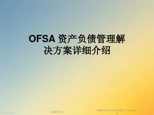 OFSA 资产负债管理解决方案详细介绍