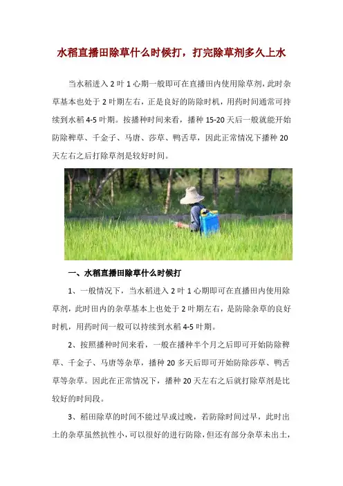 水稻直播田除草什么时候打,打完除草剂多久上水