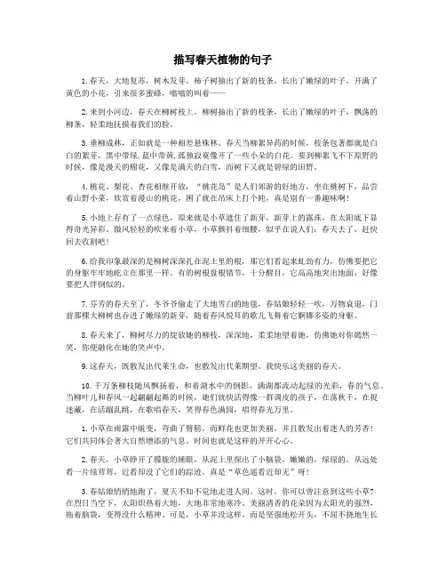 描写春天植物的句子