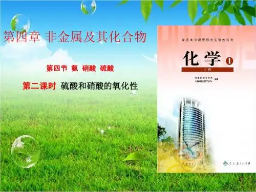 高一化学必修一第四章《硫酸和硝酸的氧化性》课件