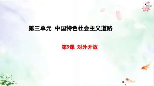 《对外开放》ppt优秀版