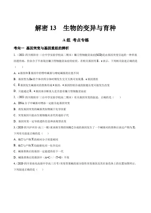 高中生物高考解密13 生物的变异与育种(分层训练)(原卷版)