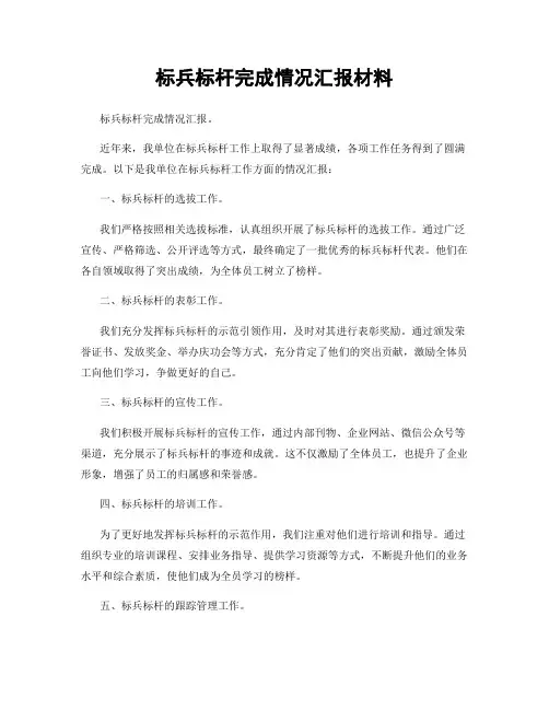 标兵标杆完成情况汇报材料