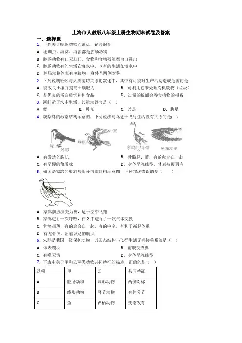 上海市人教版八年级上册生物期末试卷及答案