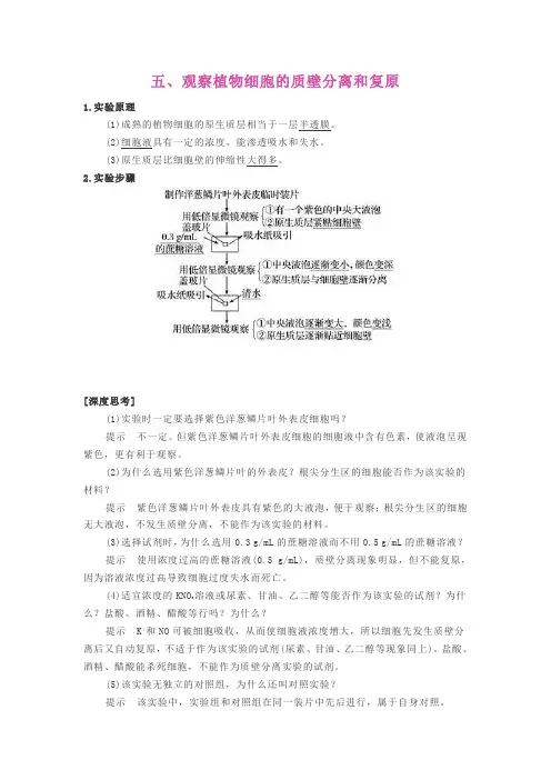 实验五质壁分离和复原