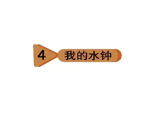 五年级下册科学课件 4、我的水钟 教科版 共8张