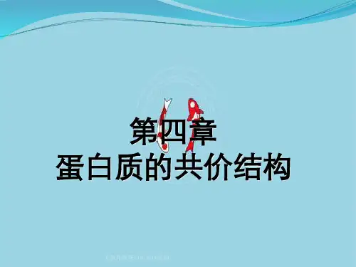 生物化学蛋白质共价结构