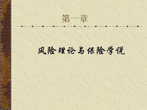 第一章    风险理论与保险学说