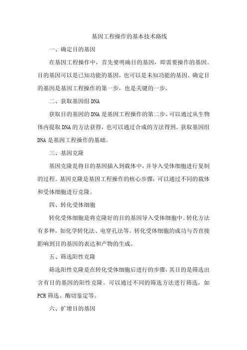 基因工程操作的基本技术路线