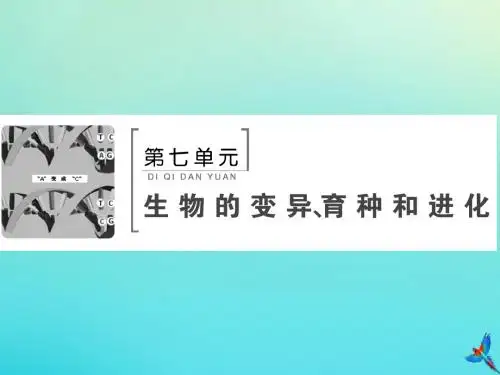 2020版高考生物一轮复习第21讲生物的进化课件新人教版