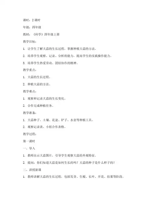 综合实践_种大蒜教案
