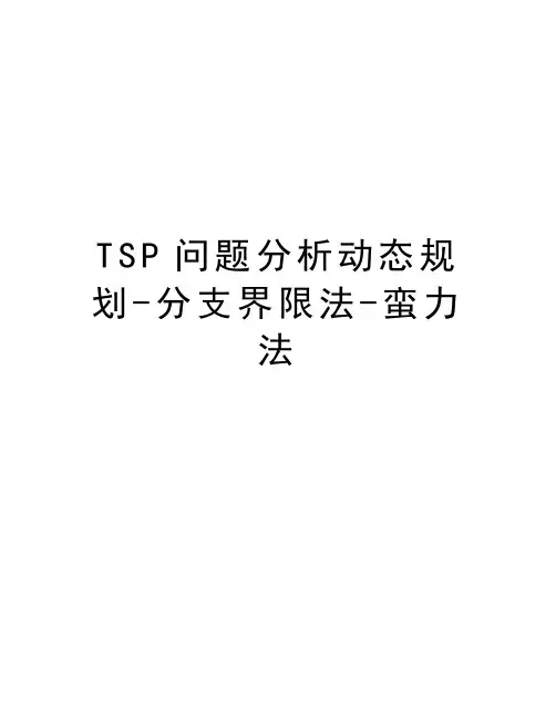 TSP问题分析动态规划-分支界限法-蛮力法教学文案