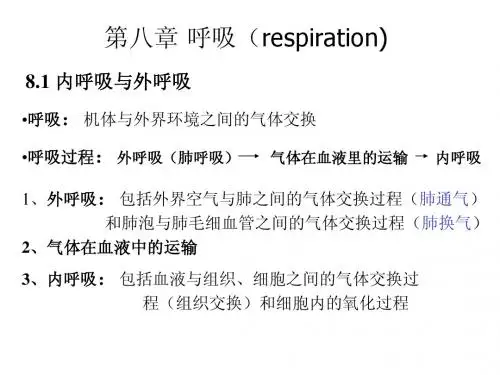 动物生理学课件第十章呼吸