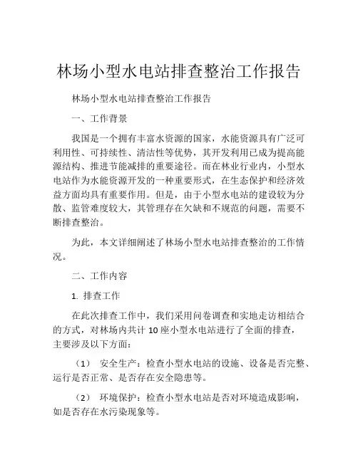 林场小型水电站排查整治工作报告