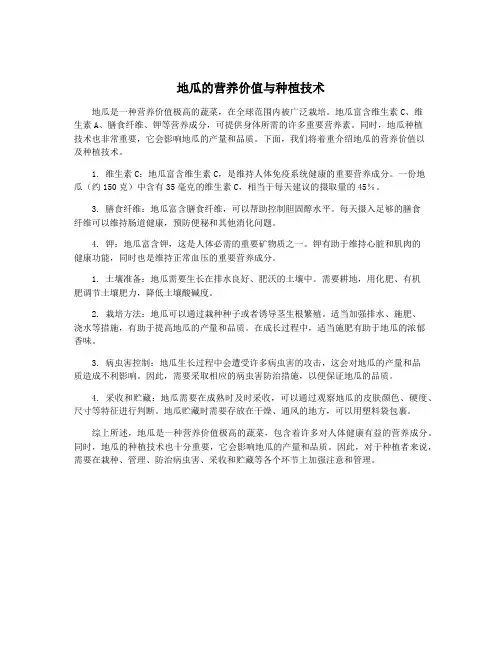 地瓜的营养价值与种植技术