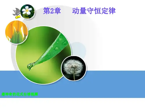 大学物理第二章动量守恒