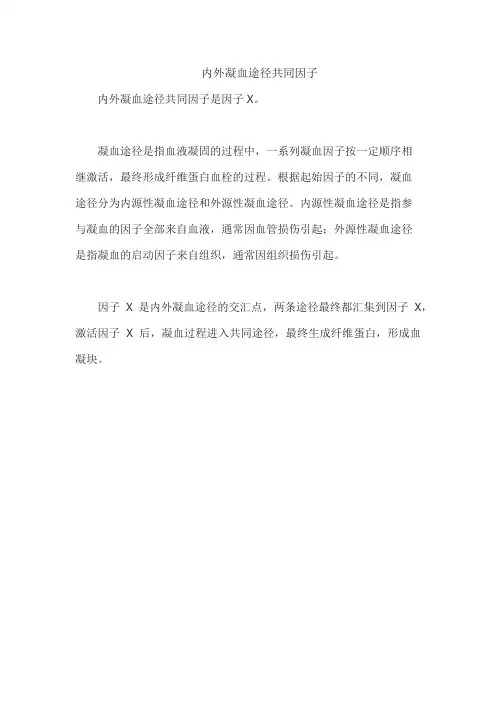内外凝血途径共同因子