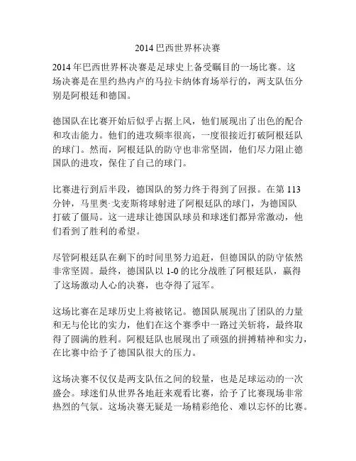 2014巴西世界杯决赛