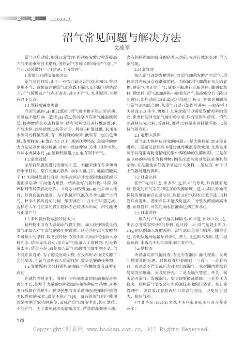 沼气常见问题与解决方法