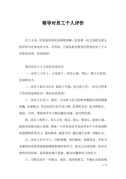 领导对员工个人评价