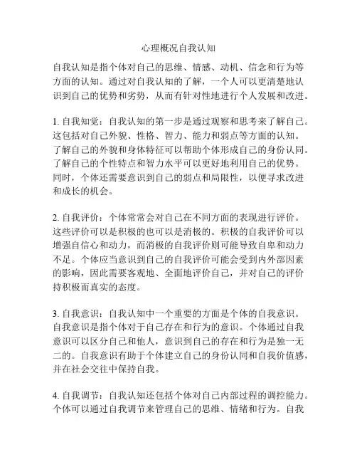 心理概况自我认知