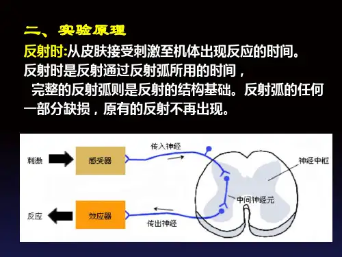 实验三反射时测定与反射弧分析