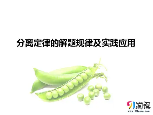 原创3：1.1.3 分离定律的解题规律及实践应用