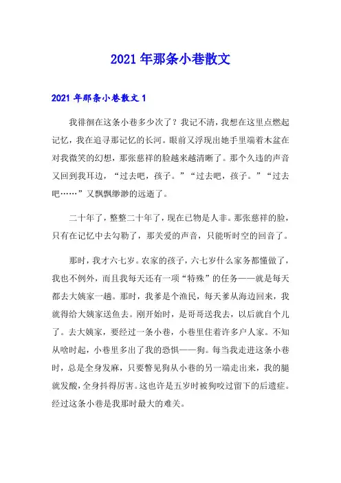 2021年那条小巷散文