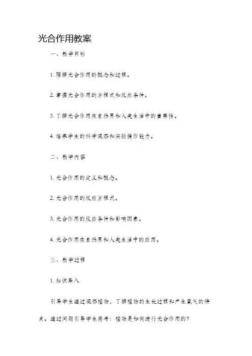 光合作用教案