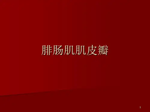 腓肠肌肌皮瓣ppt课件