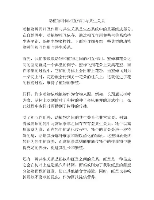 动植物种间相互作用与共生关系