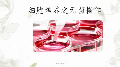 细胞培养—无菌操作课件