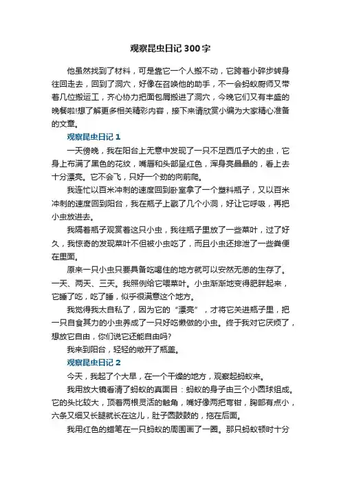 观察昆虫日记300字7篇