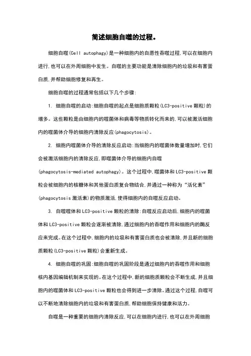 简述细胞自噬的过程。