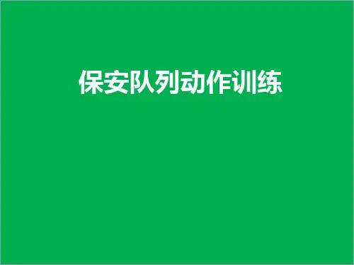 保安队列动作训练
