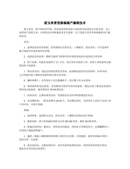 甜玉米育苗移栽高产栽培技术