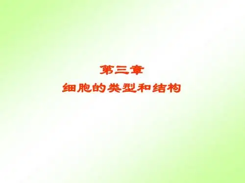 细胞的类型与结构