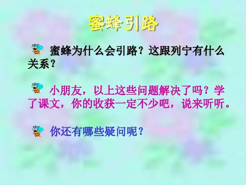 人教版小学二年级语文下册蜜蜂引路教学PPT课件 公开课一等奖课件PPT