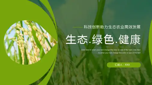 绿色科技创新助力农业高效发展生态绿色健康乡村振兴通用PPT模版