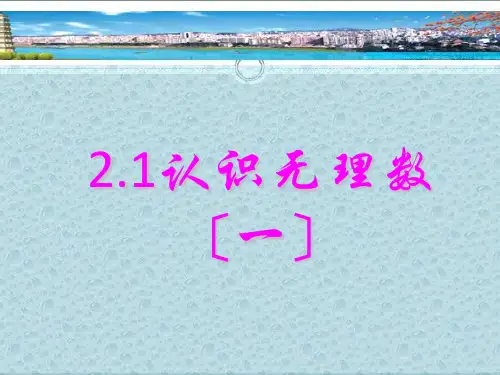 北师大版八年级上册 2.1《认识无理数一》 课件(共23张PPT)