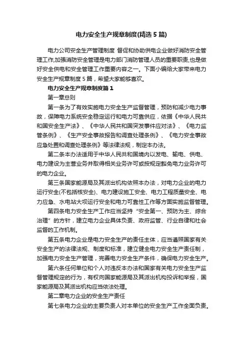 电力安全生产规章制度（精选5篇）