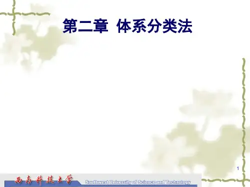 体系分类法