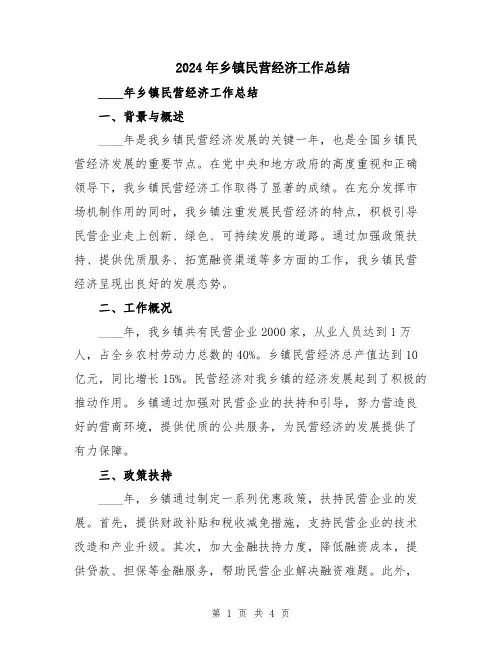 2024年乡镇民营经济工作总结