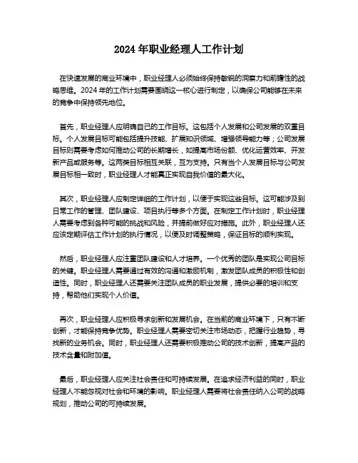 2024年职业经理人工作计划